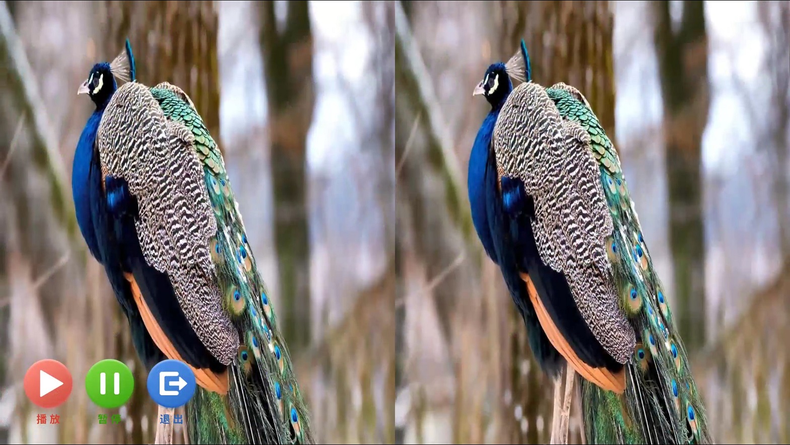 视听音乐统合训练系统