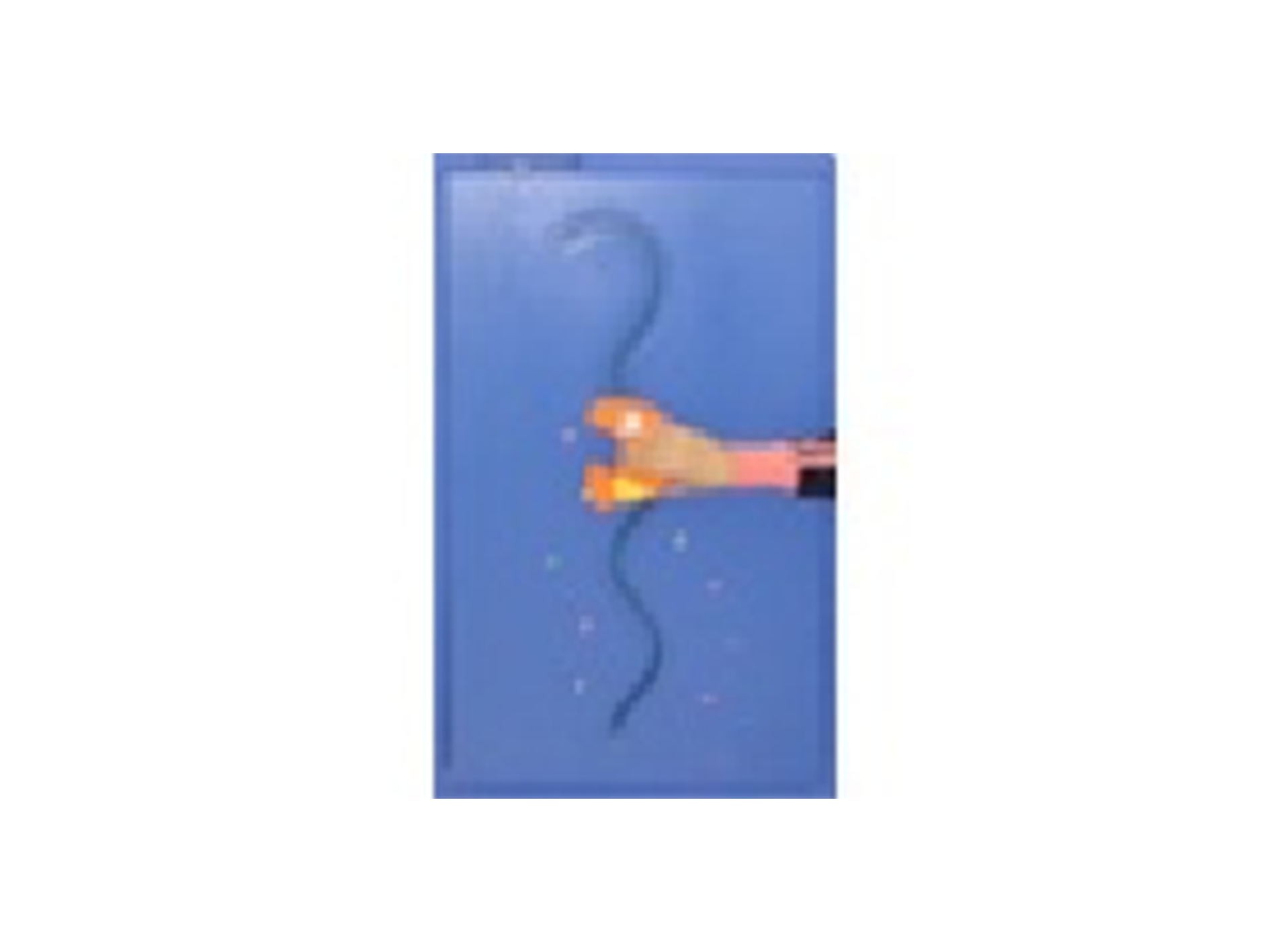 手控小鱼声光 互动游戏箱 (直行式)